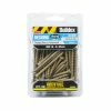 Budget 🧨 Australia Sale - Buildex 10-8 X 65mm Climacoat Treated Pine And Hardwood Decking Screws - 100 Pack Grey 🥰
