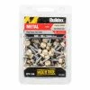 Flash Sale ✨ Australia Sale - Buildex 10G X 16mm Clasic Cream Metal C4 HexHead No Seal Tek Screws - Box 100 Sc: Classic Cream 💯